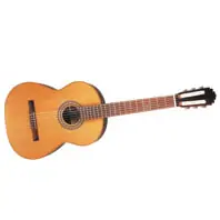 C3 Cedar