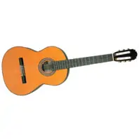 C1 Cedar