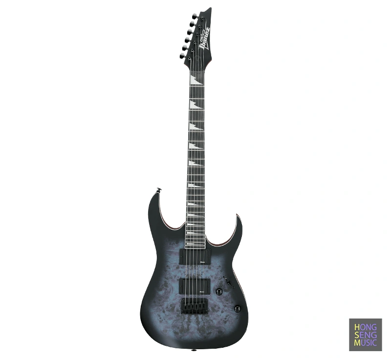 กีตาร์ไฟฟ้า Ibanez GRG121PAR