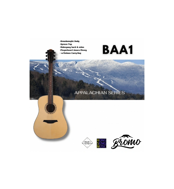 กีต้าร์โปร่ง Bromo รุ่น BAA1