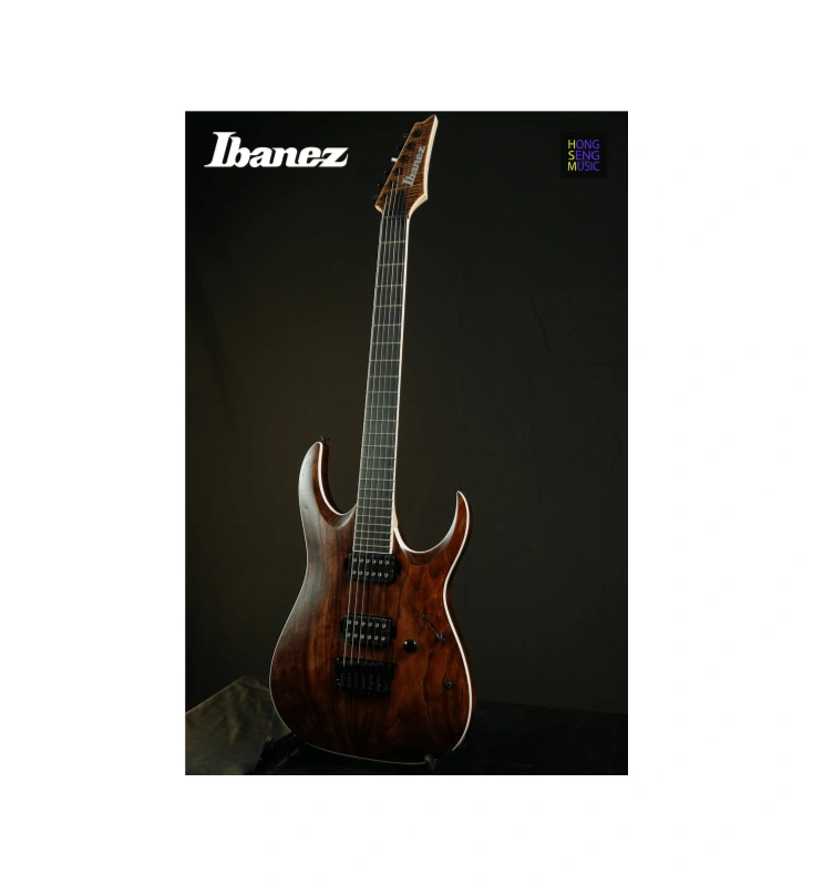 กีต้าร์ไฟฟ้า Ibanez RGAIX6U-ABS