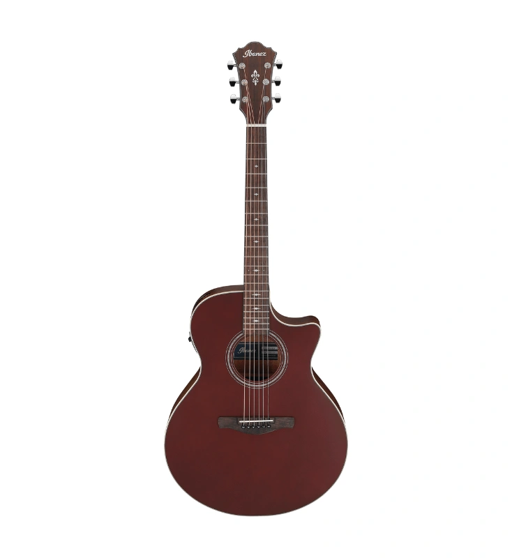 กีต้าร์โปร่งไฟฟ้า Ibanez AE100-BUF