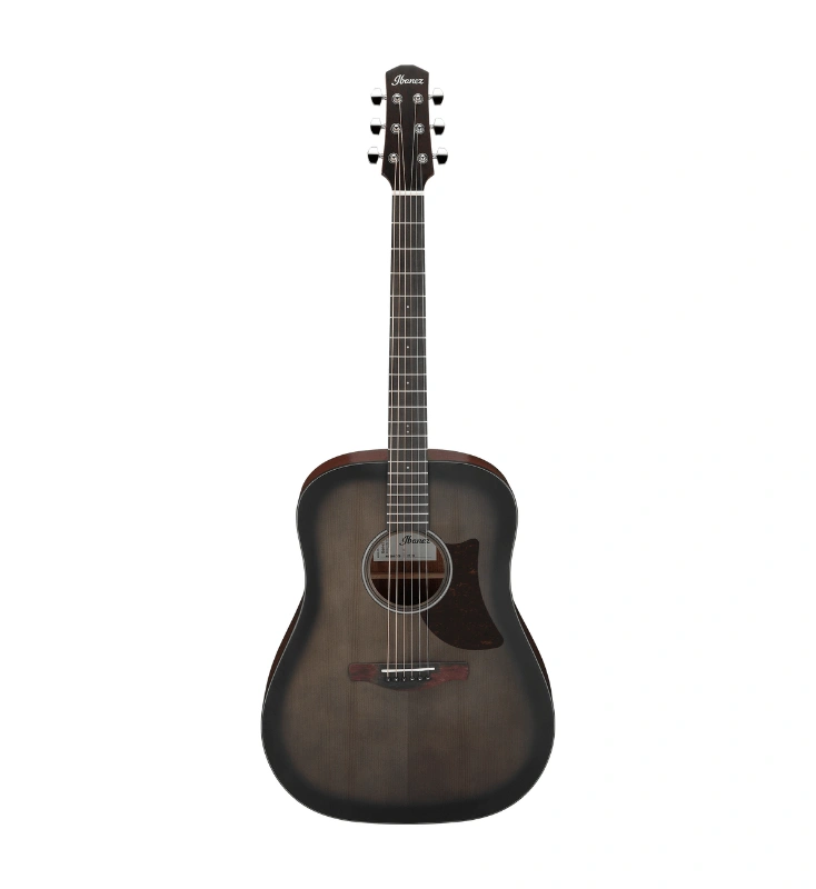 กีต้าร์โปร่ง Ibanez AAD50-TCB