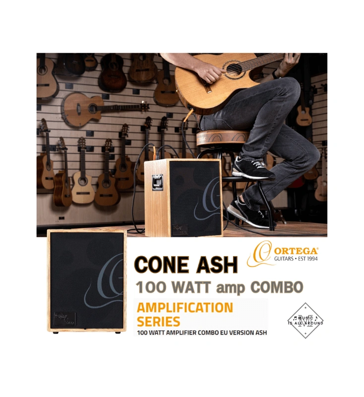 Ortega Acoustic Amplification Series รุ่น CONE ASH แอมป์ combo ขนาด 100W