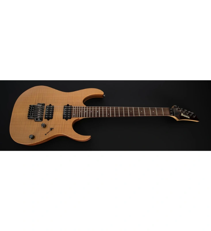 กีต้าร์ไฟฟ้า Ibanez RG3210F-ANT (Made in Japan)