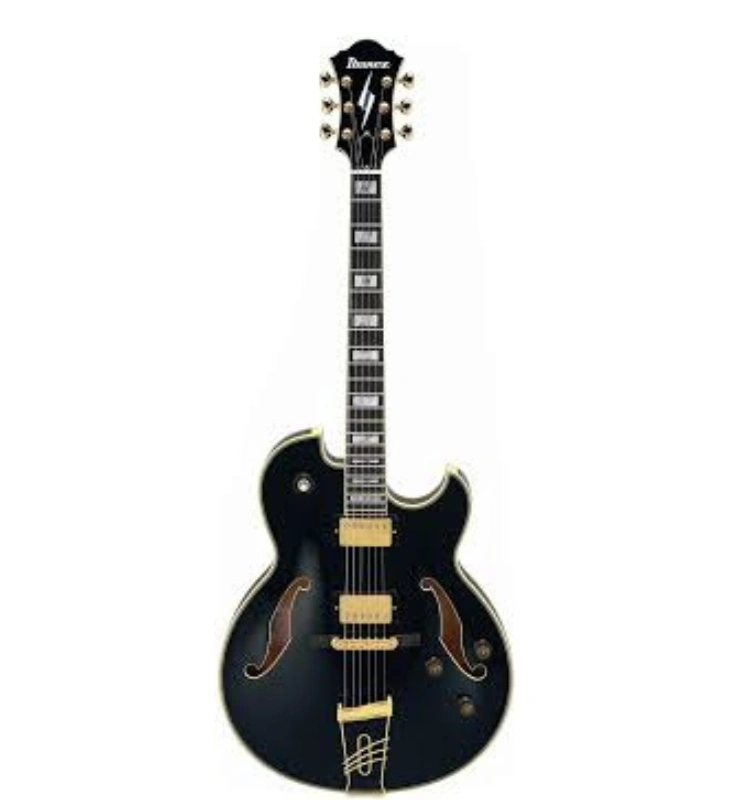 กีต้าร์ไฟฟ้า Ibanez PM120-BK Pat Matheny Signature