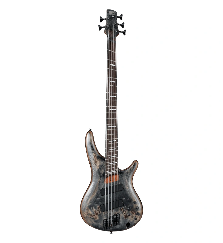 กีตาร์เบสไฟฟ้า Ibanez SRMS805-DTW (5 Strings)