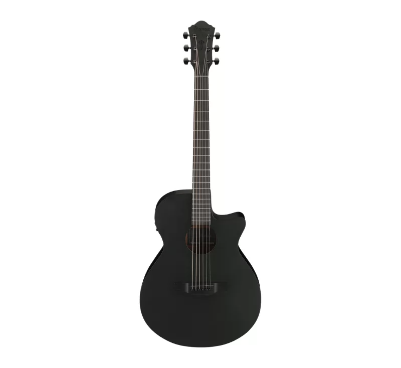 กีตาร์โปร่งไฟฟ้า Ibanez AEG621-BOT